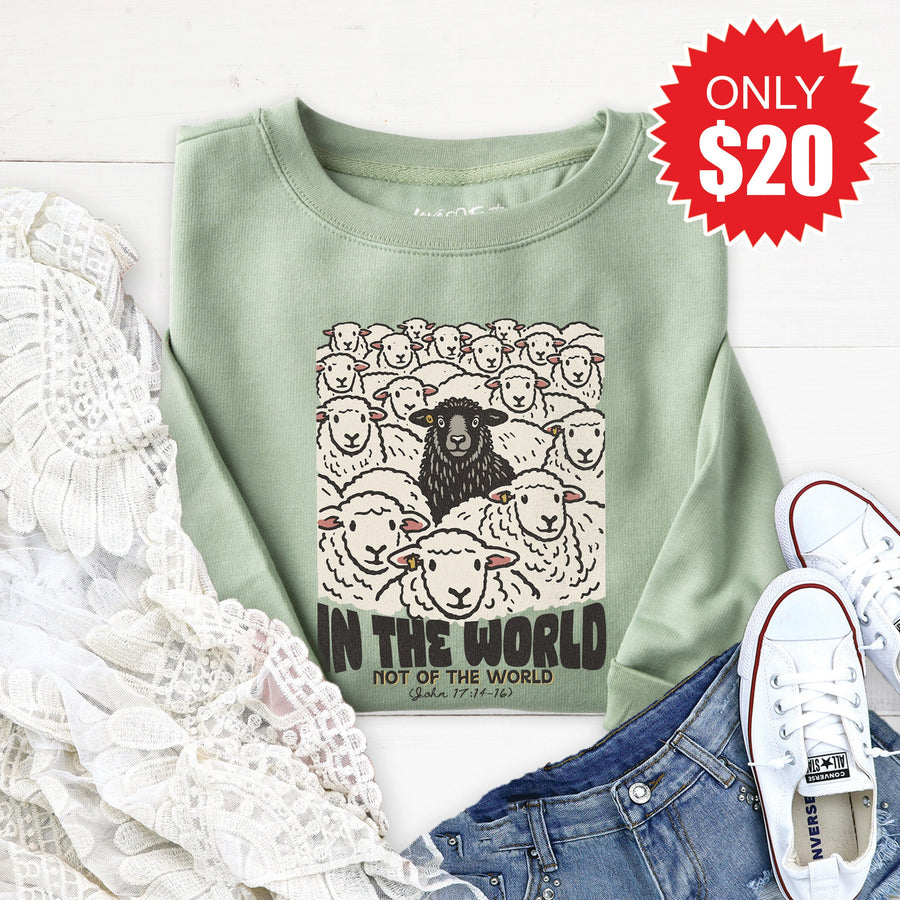 In The World Sweatshirt - Heather Sage - 20 product image 1
