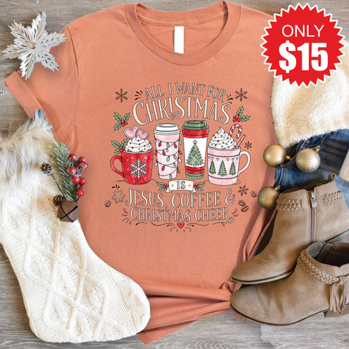 All I Want for Christmas Tee - Heather Terracotta - 15 product image 1
