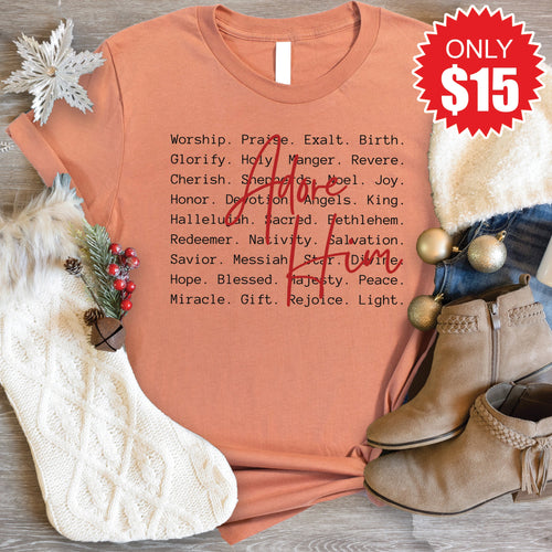 Adore Him Tee - Heather Terracotta - 15 product image 1